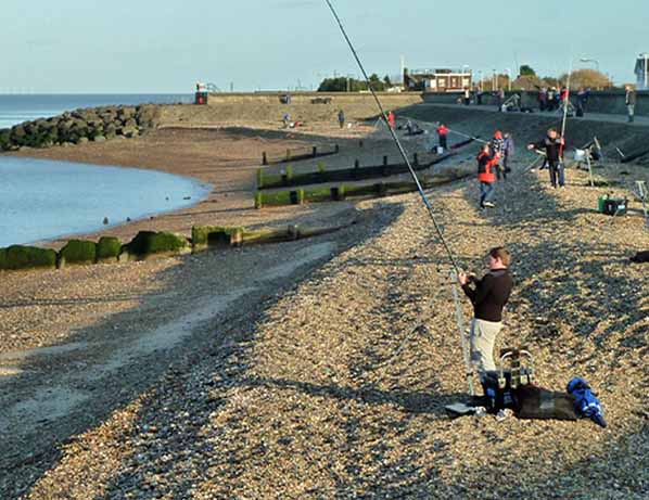 House removals sheerness