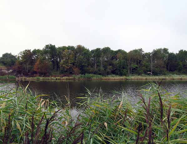 House removals swanscombe